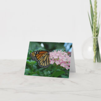 Monarch Butterfly Card