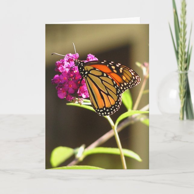 Monarch butterfly card (Front)