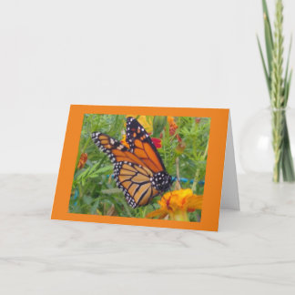 Monarch Butterfly Card