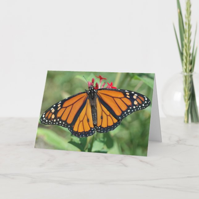 Monarch Butterfly Card (Front)