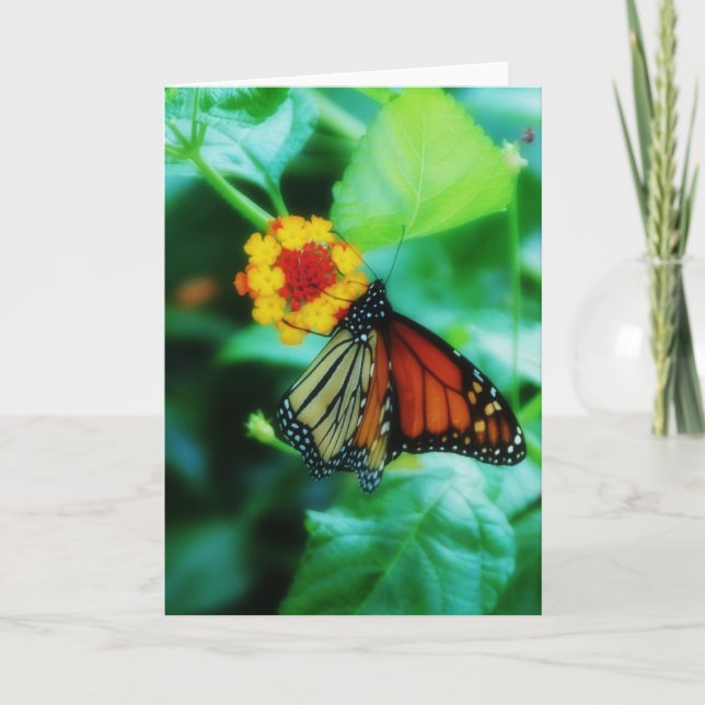 Monarch Butterfly Card (Front)