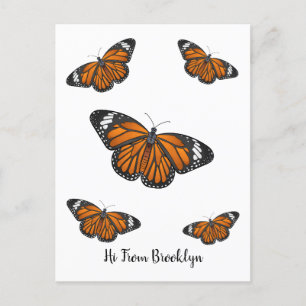 Monarch butterfly cartoon illustration postcard