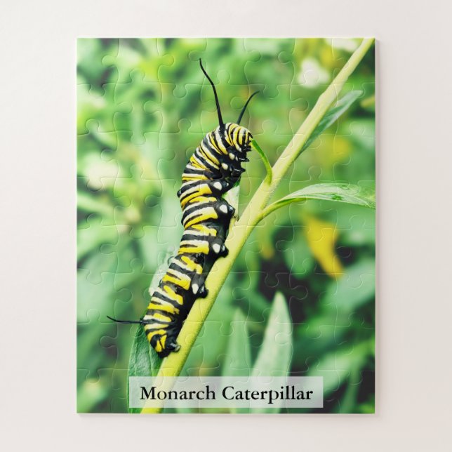 Monarch Butterfly Caterpillar on Swan Plant 56 Pcs Jigsaw Puzzle (Vertical)