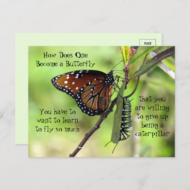 Monarch Butterfly & Caterpillar Quote Postcard (Front/Back)