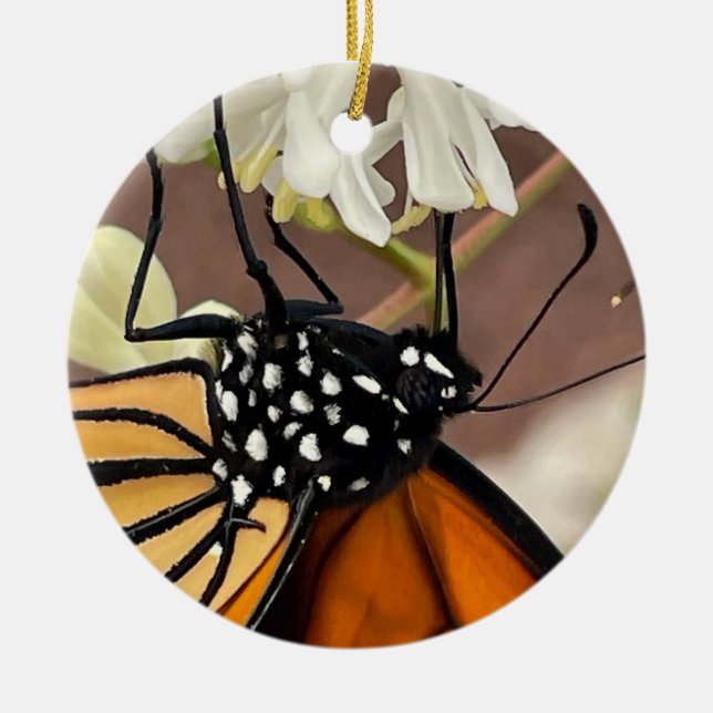 Monarch Butterfly Ceramic Tree Decoration (Front)