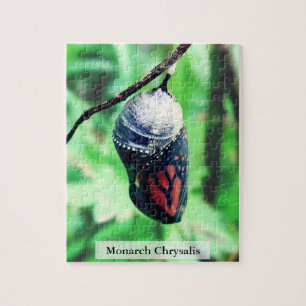 Monarch Butterfly Chrysalis Before Hatching 110Pcs Jigsaw Puzzle