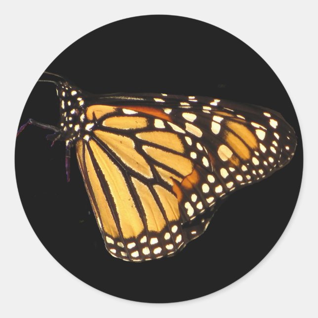 Monarch Butterfly Classic Round Sticker (Front)