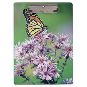Monarch Butterfly Clipboard