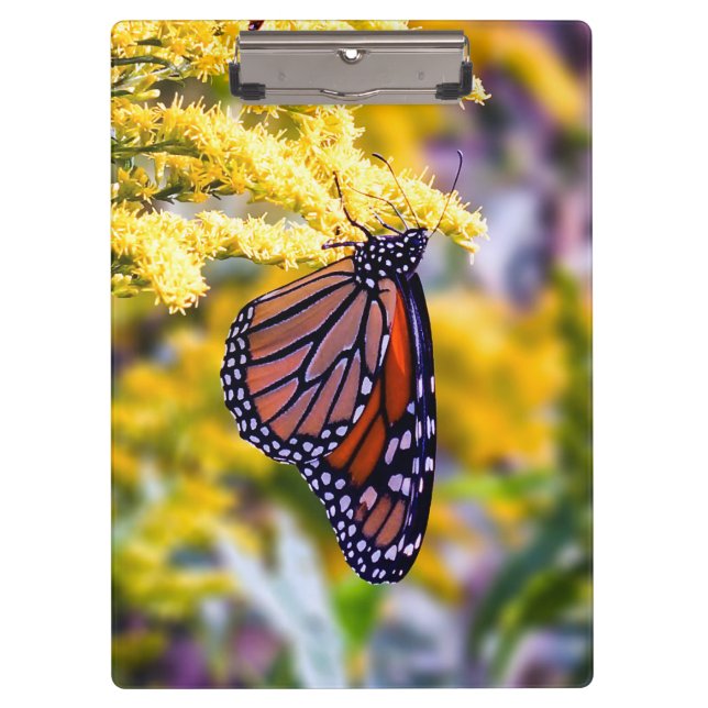 Monarch Butterfly Clipboard (Front)