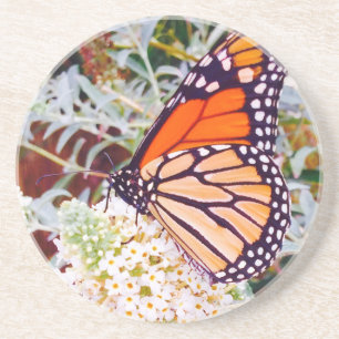 Monarch Butterfly Coaster