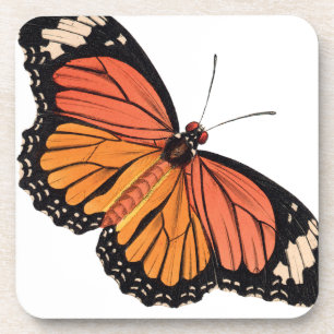 Monarch Butterfly Coaster