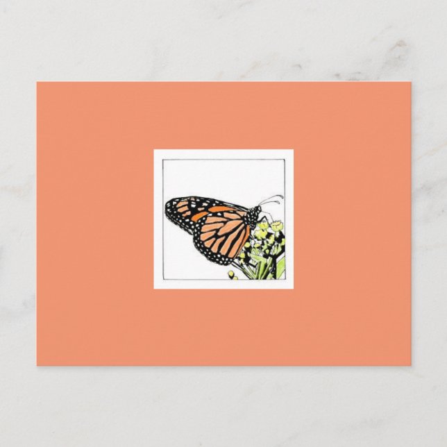 Monarch Butterfly (Colourized) Postcard (Front)