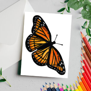 Monarch Butterfly Drawing Coloured Pencil Postcard