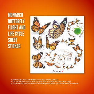 Monarch Butterfly Flight and Life Cycle Sheet