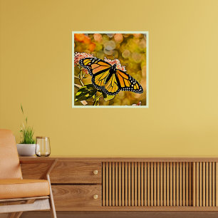 Monarch Butterfly Garden Art Poster