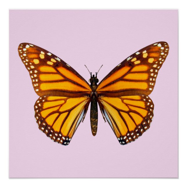 Monarch Butterfly Garden Nature Wall Art (Front)