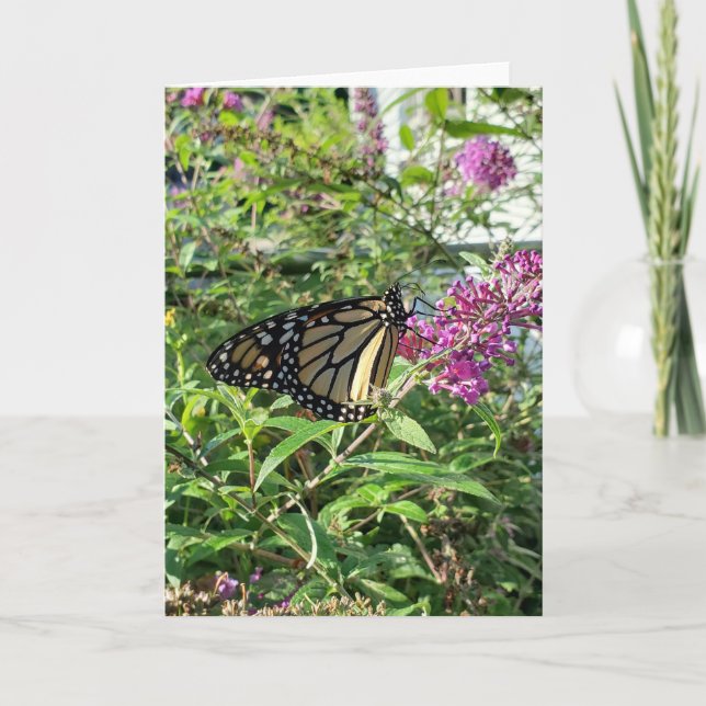 Monarch Butterfly Greeting Card (Front)