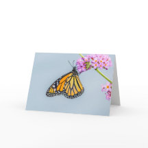 Monarch Butterfly Greeting Card