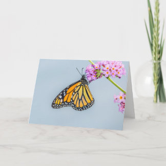 Monarch Butterfly Greeting Card