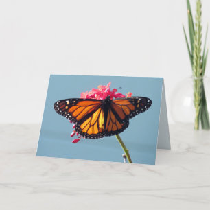 Monarch Butterfly Greeting Card