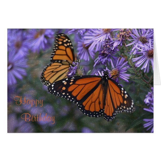 Monarch Butterfly Happy Birthday (Front Horizontal)
