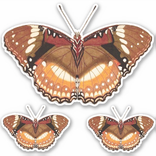 Monarch Butterfly in Brown, Rust and Cream (Front)