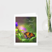 Monarch Butterfly in floral setting