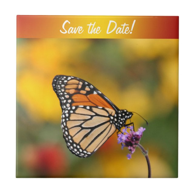 Monarch Butterfly In Search of Pollen Tile (Front)