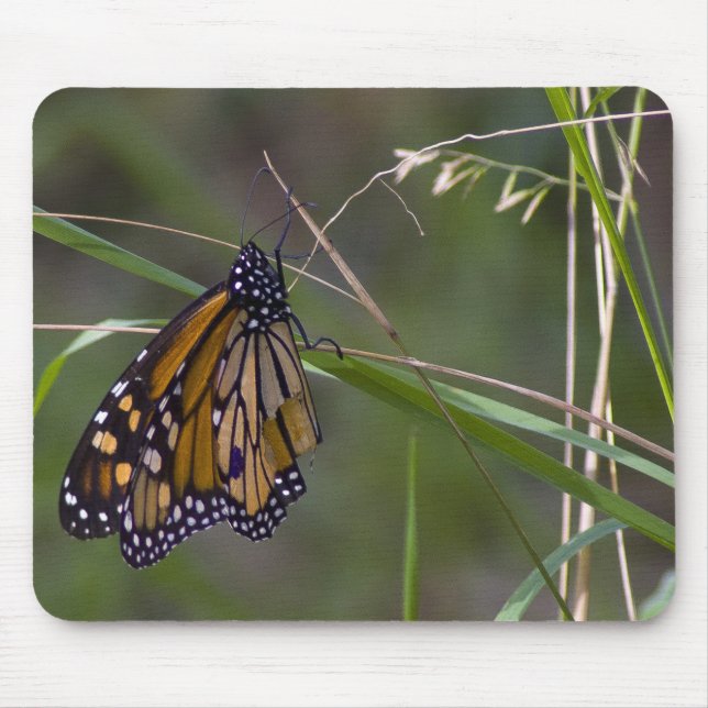 Monarch Butterfly in the Grass Mouse Pad (Front)