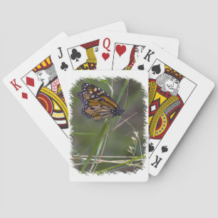 Monarch Butterfly in the Grass White Edge Playing Cards
