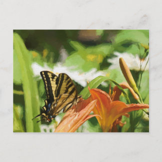 Monarch Butterfly Invitation Postcard