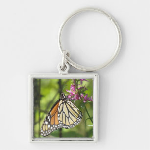 Monarch Butterfly keychain
