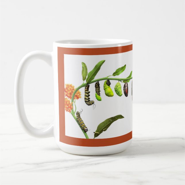 Monarch butterfly lifecycle coffee mug (Left)