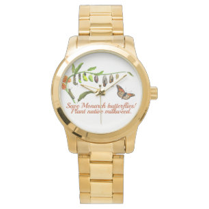 Monarch butterfly lifecycle watch