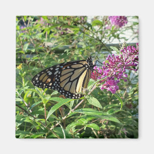 Monarch butterfly magnet