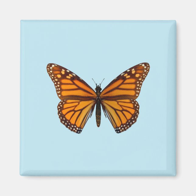 Monarch Butterfly Magnet (Front)