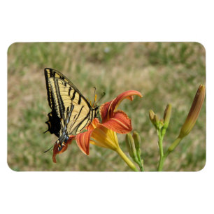 Monarch Butterfly Magnet