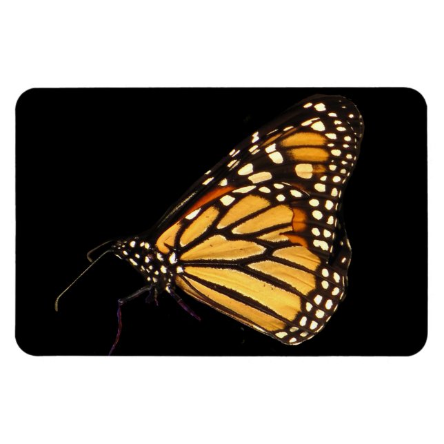 Monarch Butterfly Magnet (Horizontal)