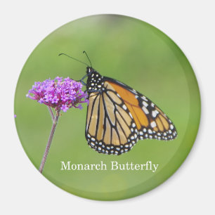 Monarch Butterfly magnet