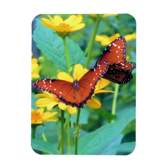 Monarch Butterfly - Magnet (Vertical)