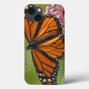 Monarch Butterfly male on Swamp Milkweed iPhone 13 Case