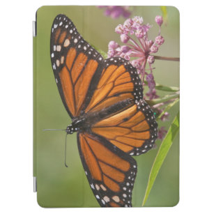 Monarch Butterfly male on Swamp Milkweed iPad Air Cover