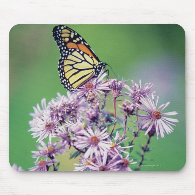 Monarch Butterfly Mouse Pad (Front)