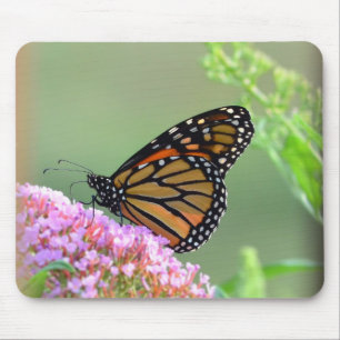 Monarch Butterfly Mouse Pad
