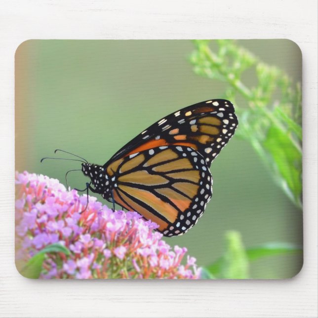 Monarch Butterfly Mouse Pad (Front)