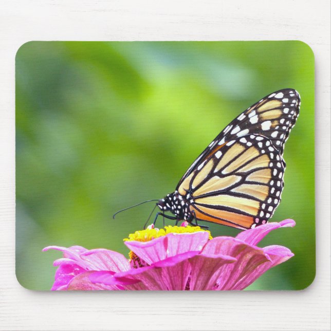 Monarch Butterfly Mouse Pad (Front)