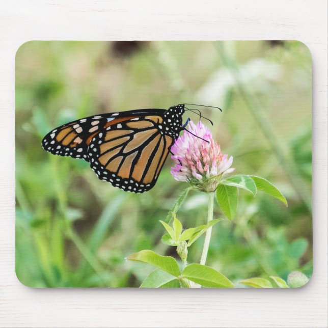 Monarch Butterfly Mouse Pad (Front)