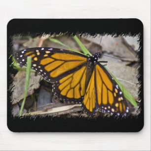 Monarch Butterfly Mouse Pad