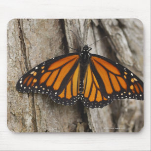 Monarch Butterfly Mouse Pad