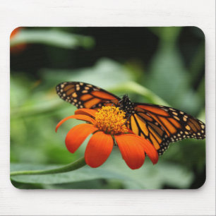 Monarch Butterfly Mousepad